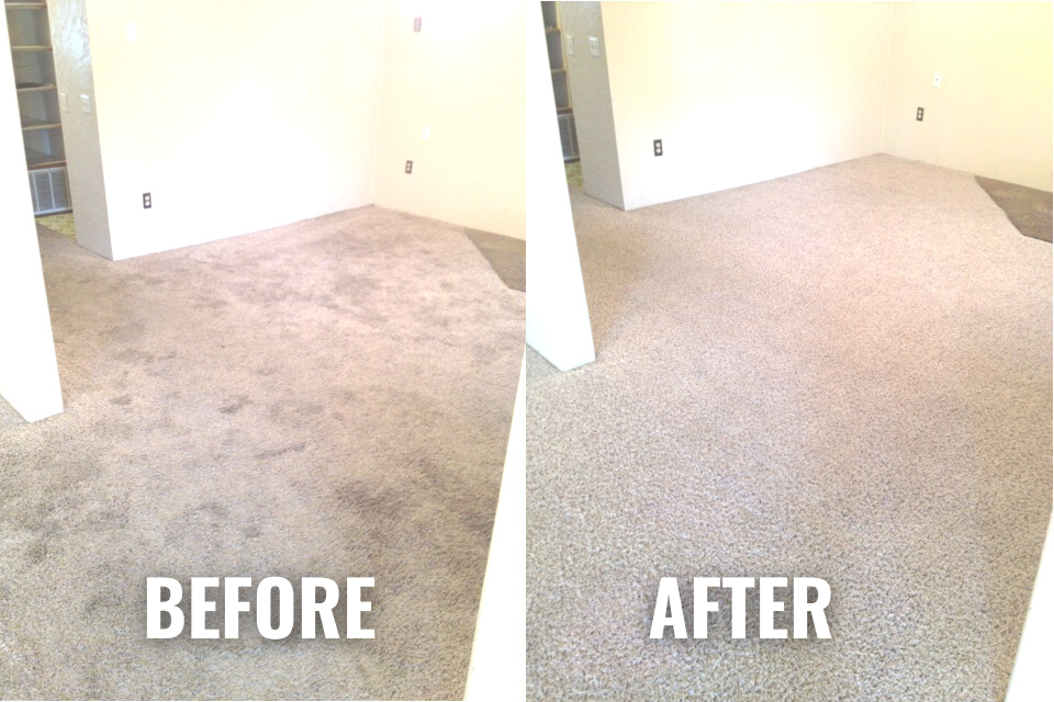 Carpet before and after Carpet before and after
