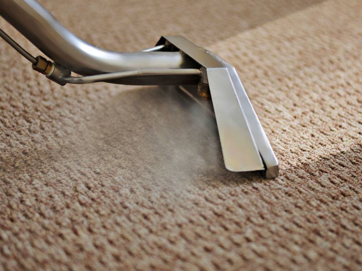Carpet pic 2 Carpet pic 2